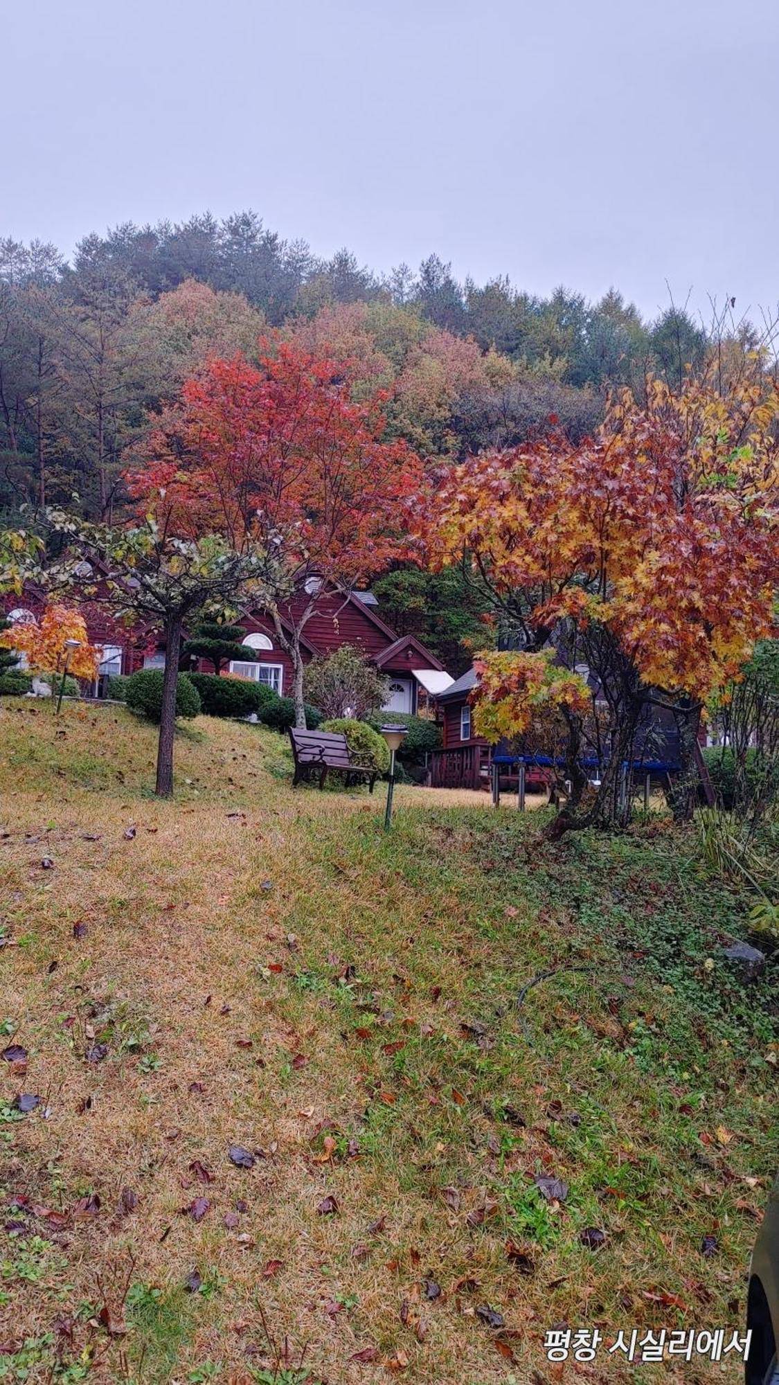 Sisilli Pension Pyeongchang Exterior foto