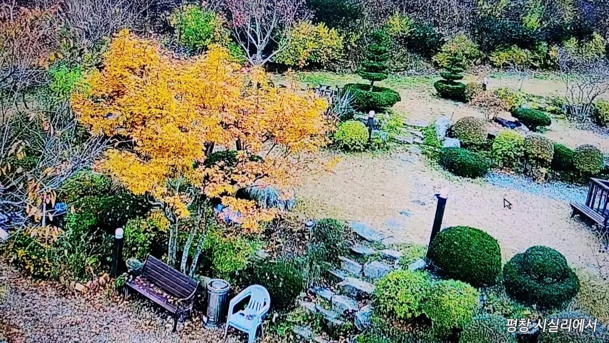 Sisilli Pension Pyeongchang Exterior foto