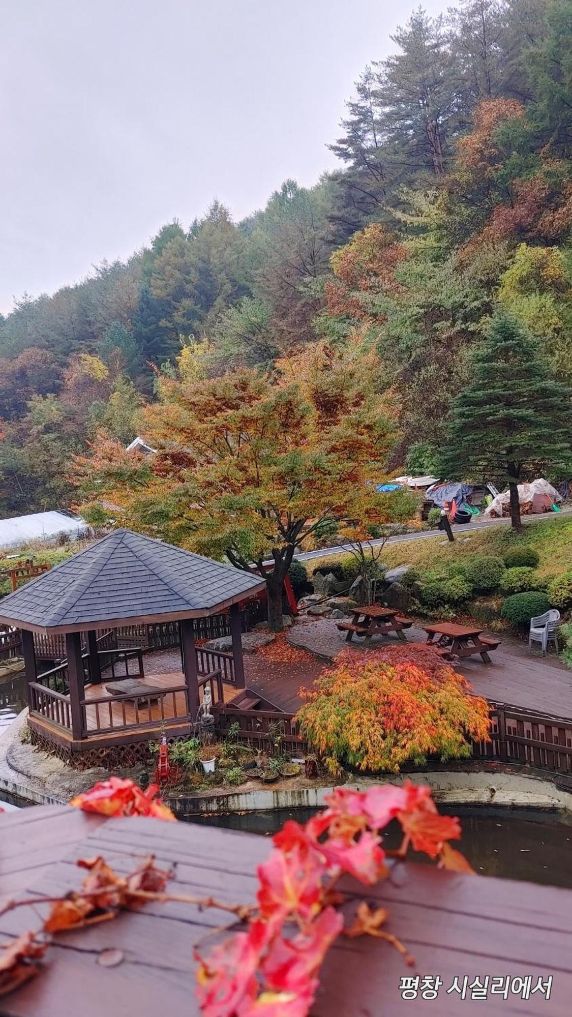 Sisilli Pension Pyeongchang Exterior foto